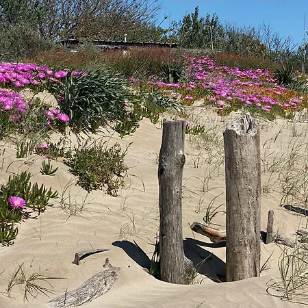 בית נופש Les Pieds Dans L'eau Le Grau-dʼAgde