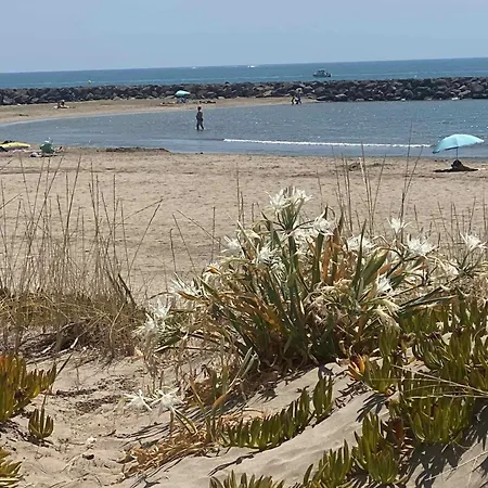 Les Pieds Dans L'eau Le Grau-dʼAgde